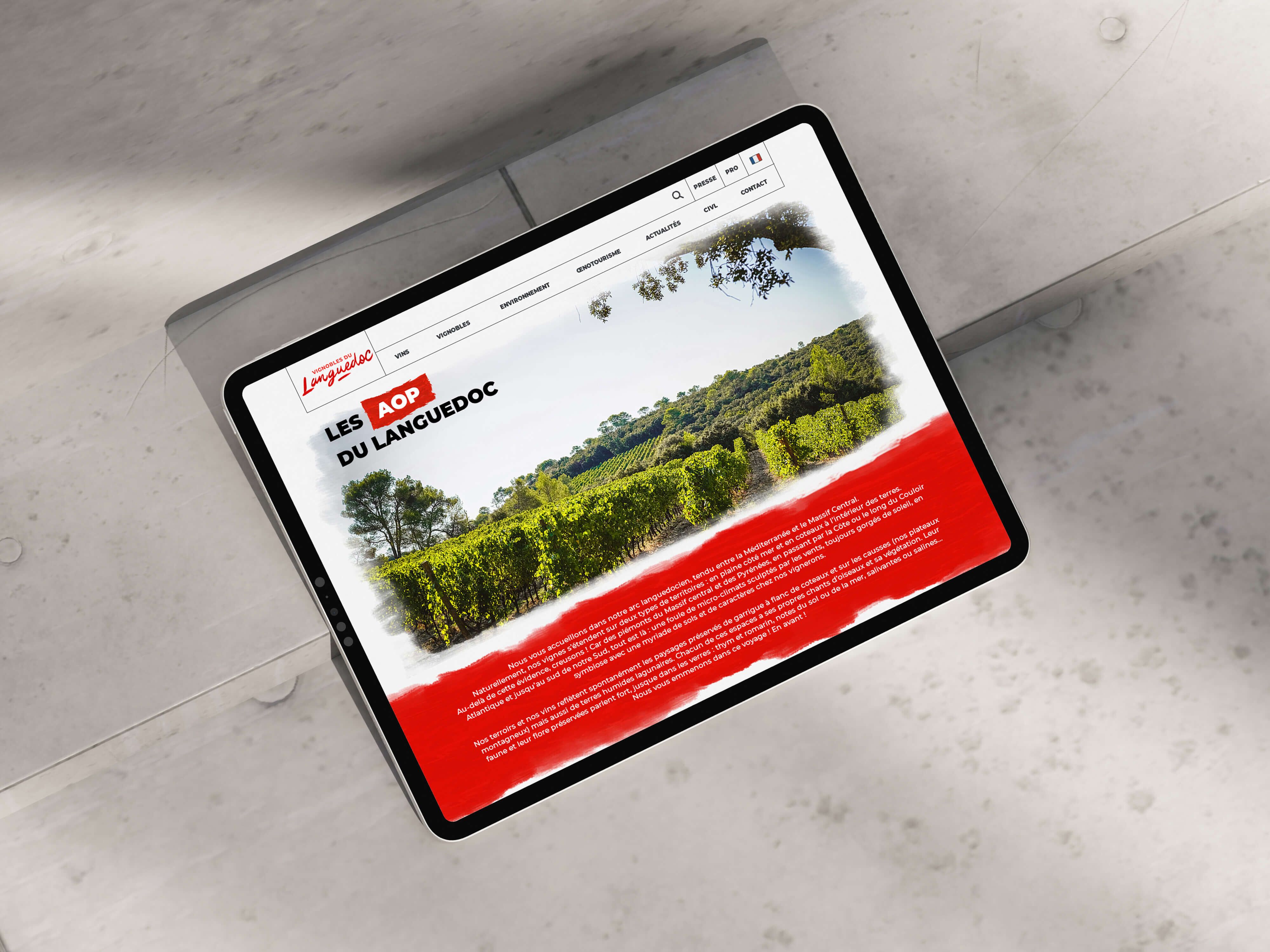 Vins du Languedoc - site web, vue desktop